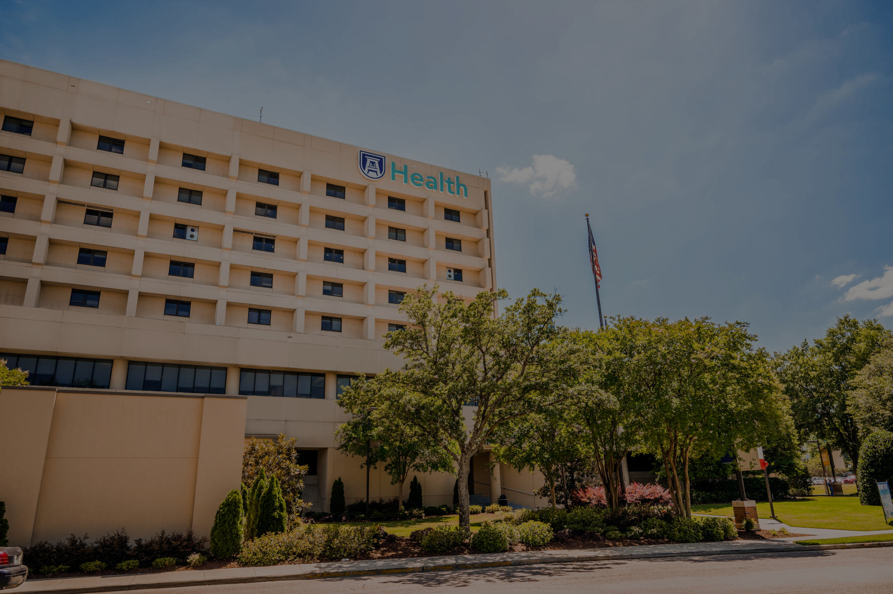 Augusta University Health Wizard Record Request