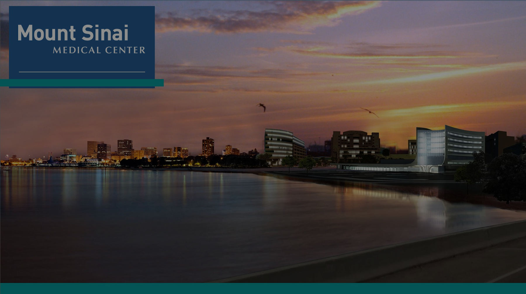 Mount Sinai Medical Center Wizard Record Request